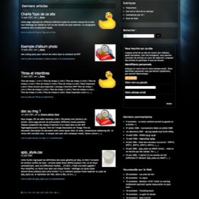 Page d'accueil